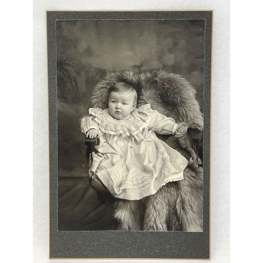 1800s FW‎ Sander Victorian Baby Fur Rug Portrait Black White Vintage Photograph